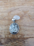Just In; Navajo White Buffalo and Sterling Silver Pendant; PDD2-4